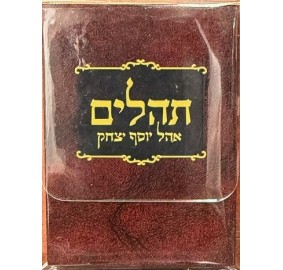 Tehillim Heb. Mini-Size Clear