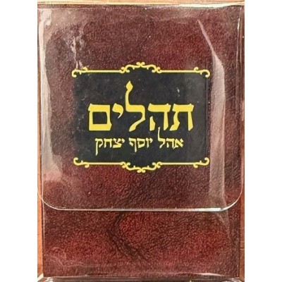 Tehillim Heb. Mini-Size Clear