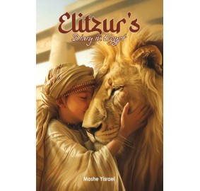 Elitzur's Diary in Egypt