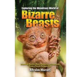 Exploring Wondrous World Bizar
