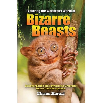 Exploring Wondrous World Bizar