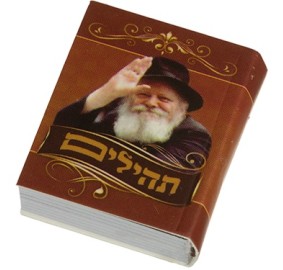 Tehillim Mini Rebbe 