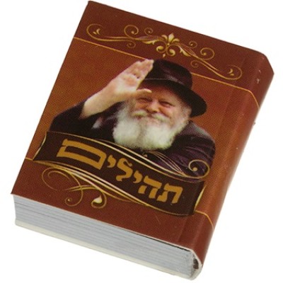 Tehillim Mini Rebbe 