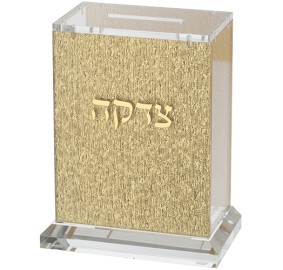 Tzedakah Box Lucite Gold