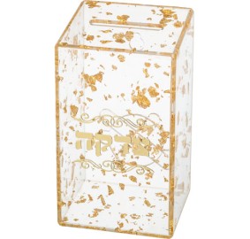 Tzedaka Box Lucite Gold