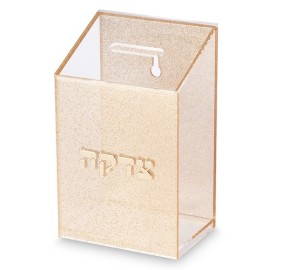 Tzedakah Box Acrylic Wall Moun