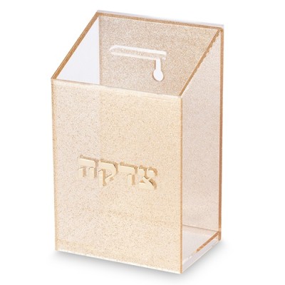 Tzedakah Box Acrylic Wall Moun
