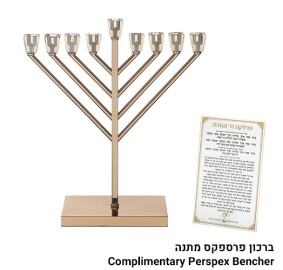 Rambam Menorah Gold Metal