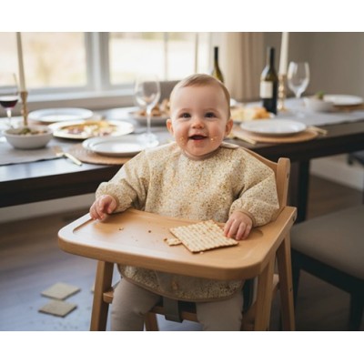 Baby Bib Matzah Print Small