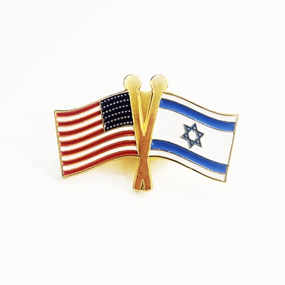 Israel & USA Flags Pin