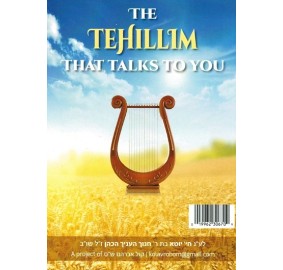 The Talking Tehillim USB