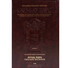 Bechoros Volume 2 [Talmud]