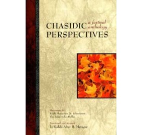 Chasidic Perspectives (Hardcover)