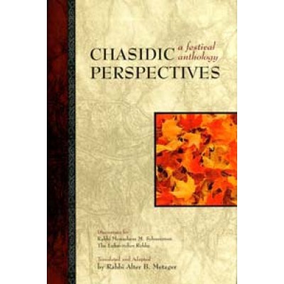 Chasidic Perspectives (Hardcover)