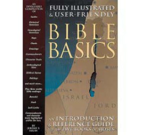 Bible Basics (Paperback)