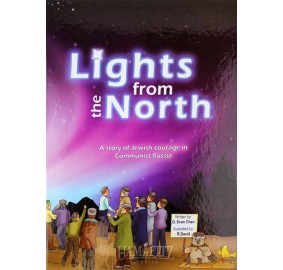 Lights From The North