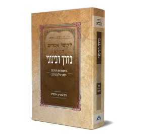 B'Derech HaBeinoni
