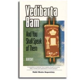 Vedibarta Bam Bereshit (Hardcover)