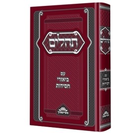Tehillim im Biurei Chassidus M