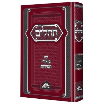 Tehillim im Biurei Chassidus M