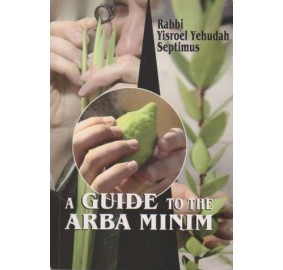 A Guide to the Arba Minim