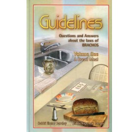 Guidelines Brachos (Hardcover)