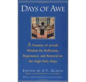 Days Of Awe (Paperback)