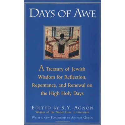 Days Of Awe (Paperback)