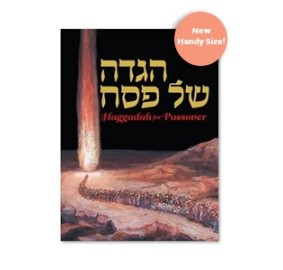 Haggadah Kleinman Compact