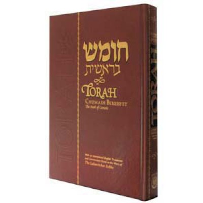 Torah - Chumash Bereishit (Hardcover)