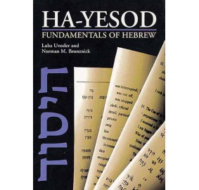 Hayesod (Paperback)