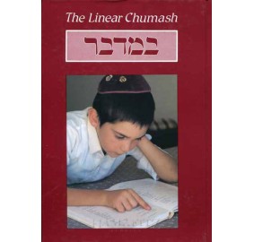 Linear Chumash Bamidbar (Hardcover)