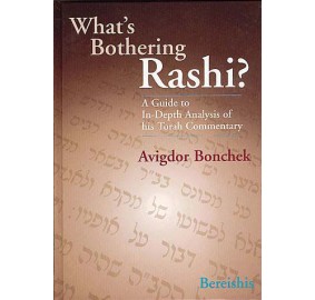 What's Bothering Rashi 1- Bereishis (Hardcover)