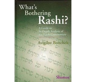 What's Bothering Rashi 2 - Shemos (Hardcover)