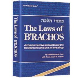 The Laws Of B'Rachos (Hardcover)