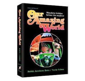 Our Amazing World (Hardcover)