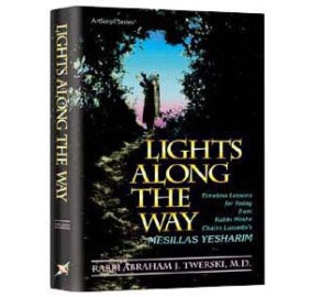 Lights Along The Way (Hardcover)