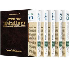 Tehillim 5 Volume Set - Pocket Size (Hardcover)