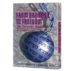 From Bondage To Freedom H/C