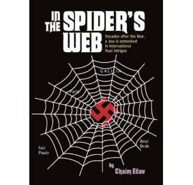 In The Spiders Web H/C Decades
