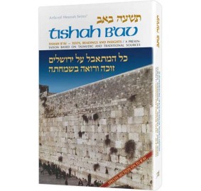 Tishah B'Av: Texts, Readings, And Insights (Hardcover)