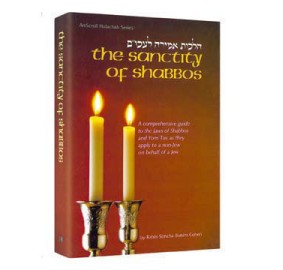 The Sanctity of Shabbos (Hardcover)