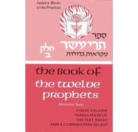 Judaica Press The Twelve Prophets Volume 2 (Hardcover)