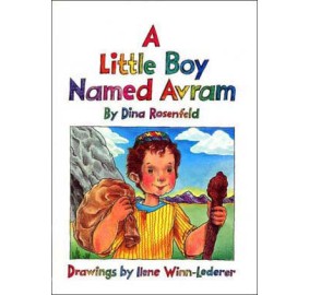 A Little Boy Named Avram (Hardcover)