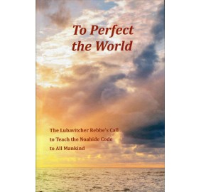 To Perfect The World