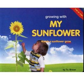 Growing With My Sunflower