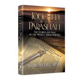 Touched By The Parashah (Hardcover)