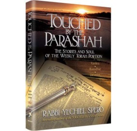 Touched By The Parashah 2 (Hardcover)