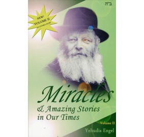 Miracles In Our Times Volume 2 (Paperback)