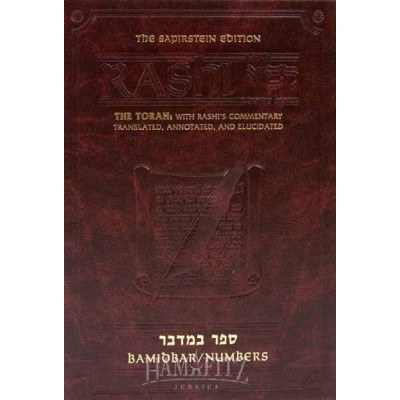 Sapirstein Bamidbar Student